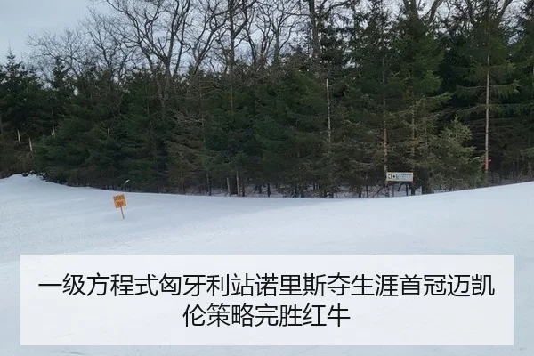 一级方程式匈牙利站诺里斯夺生涯首冠迈凯伦策略完胜红牛